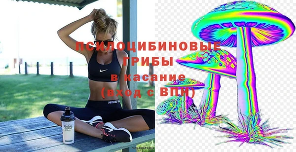 экстази Арсеньев