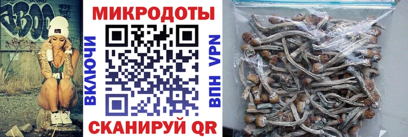 Псилоцибиновые грибы Magic Shrooms  блэк спрут рабочий сайт  Ивангород  наркотики 
