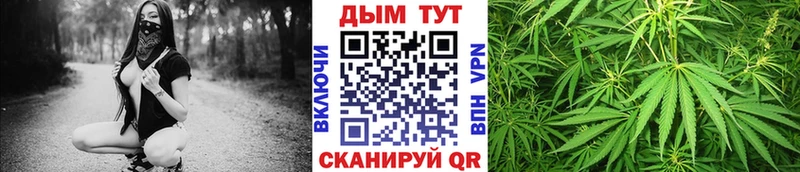 Канабис сатива  Ивангород 